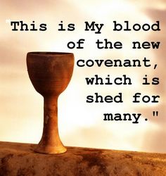 covenant blood supper last bible jesus lords mark lord communion his cup scriptures kids 2009 christ christianity val passover eucharist